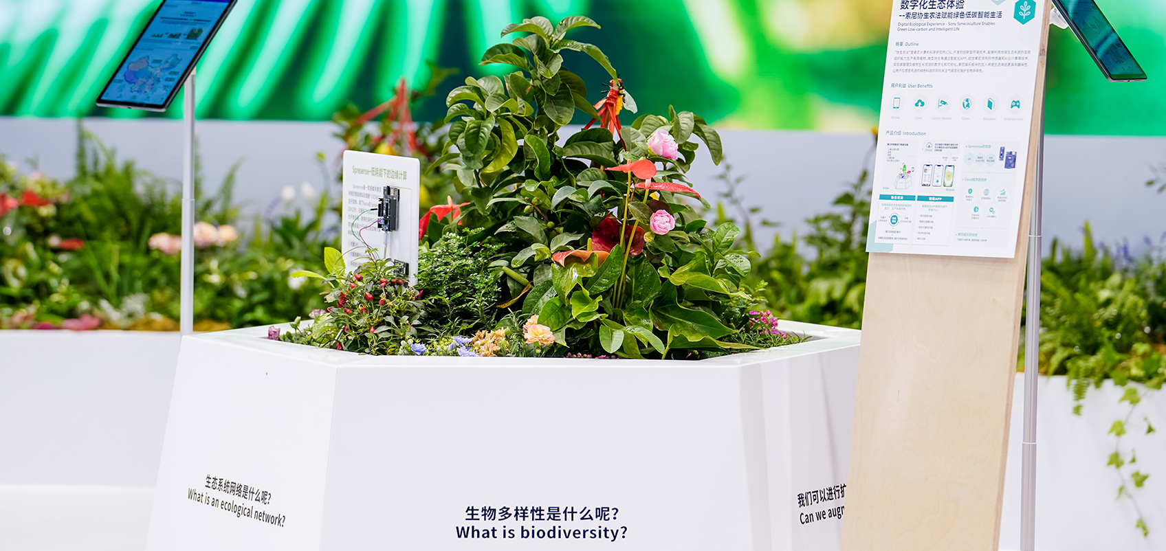 Photo of plants at the Sony booth at the expo.