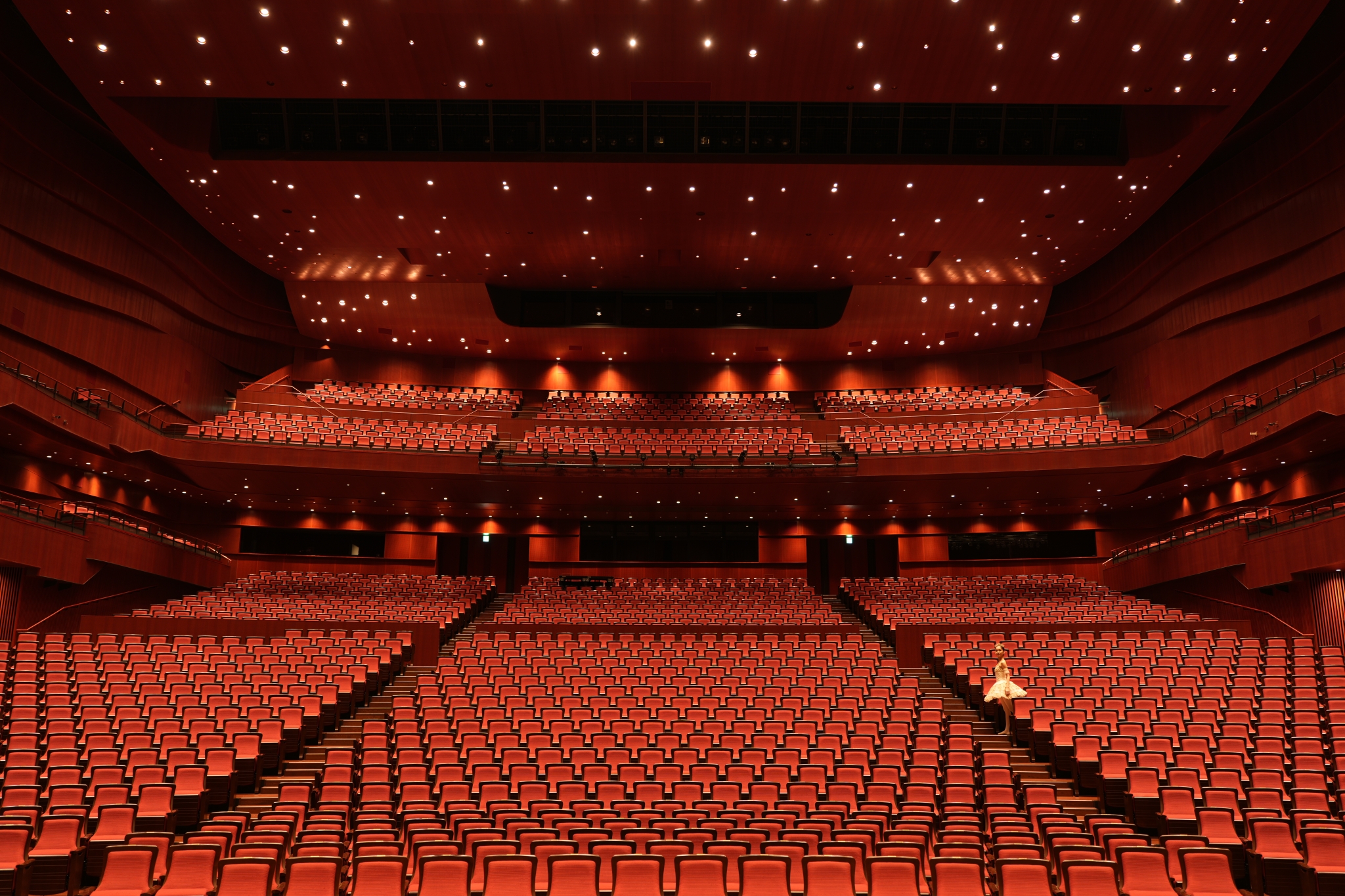 A wide shot of the entire audience area of the theater, with a ballerina standing in the corner of the seating area Click to open modal