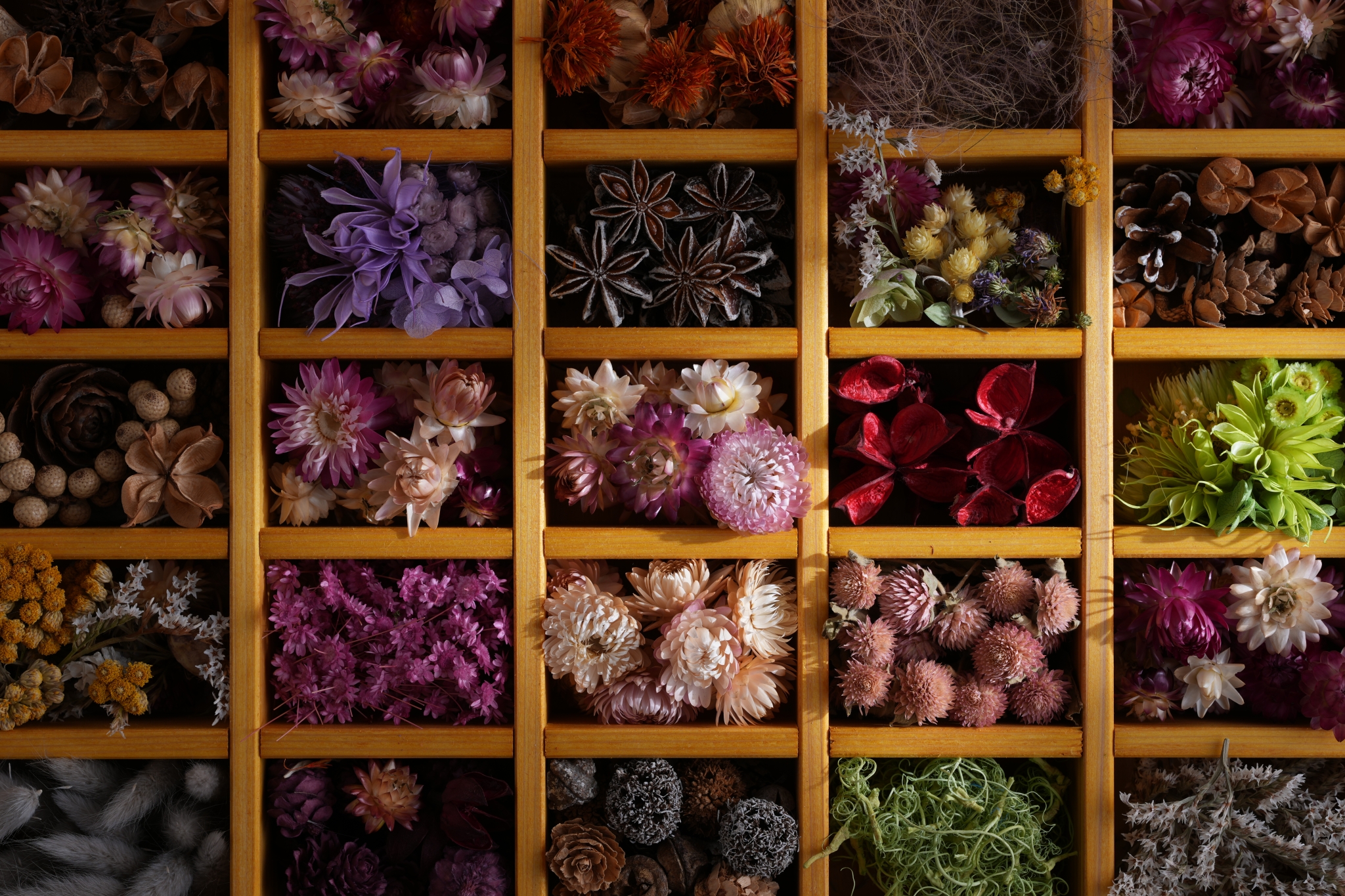 A grid-like wooden frame containing various types of flowers, all displayed in high resolution throughout the corners of the image Click to open modal