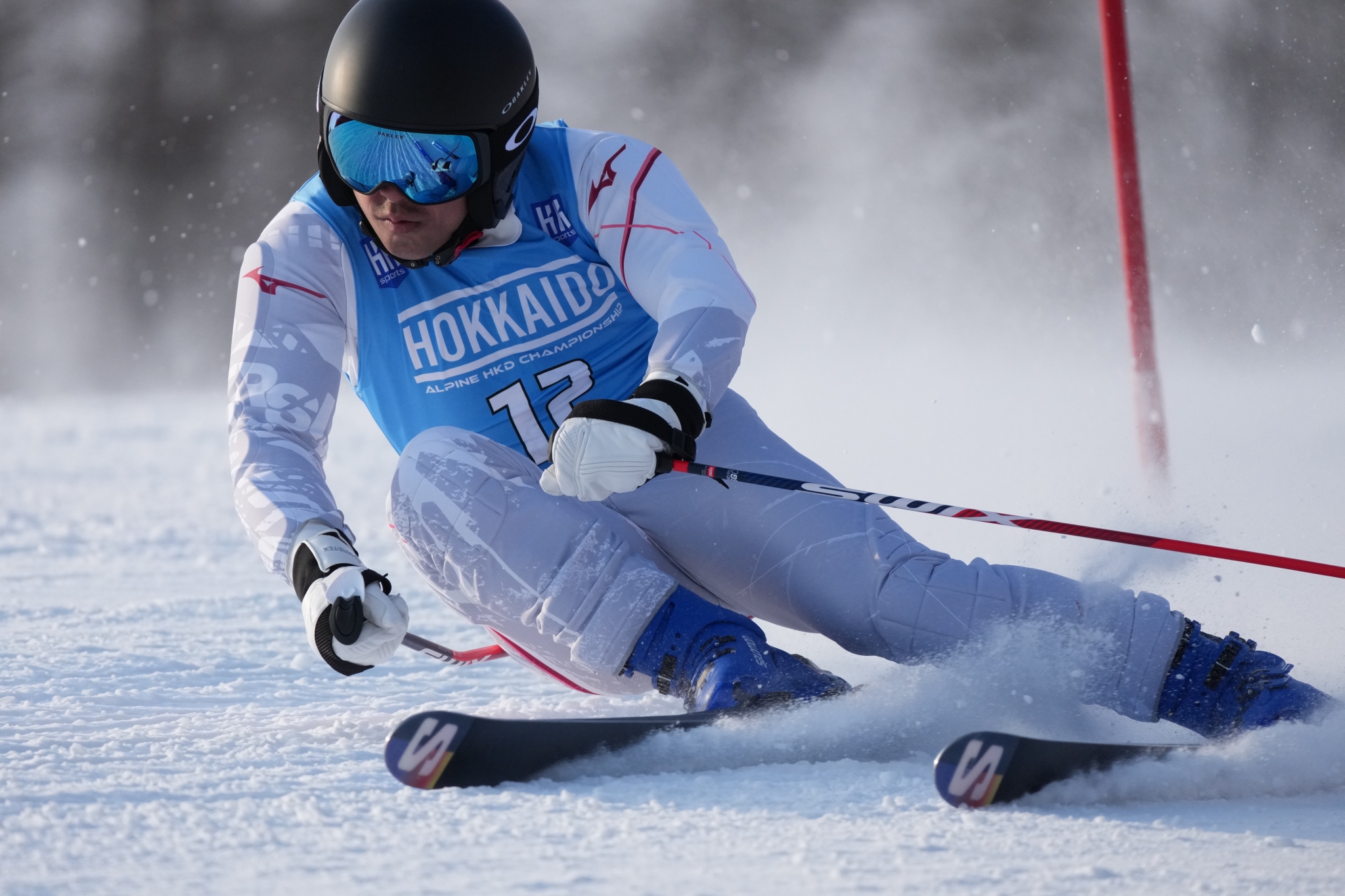 Example image showing an alpine skier racing downhill at high speed  Click to open modal