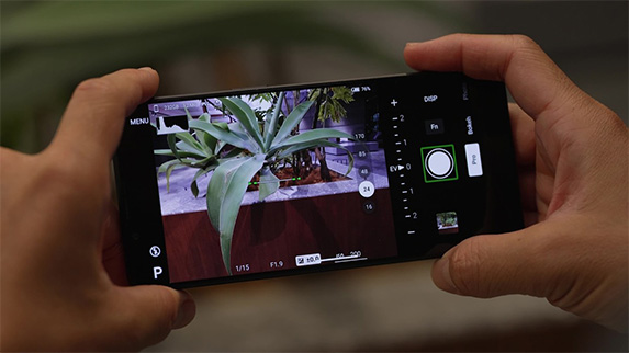 Image: Shooting a plant using the Camera app on the Xperia 1 VI Image: A sound informs the user whether or not the Xperia photo screen is level with respect to the subject