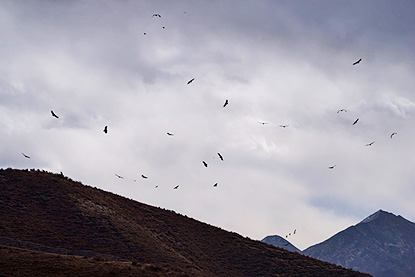 Historic Ensemble of the Potala Palace, Lhasa | Sony Global - α CLOCK ...