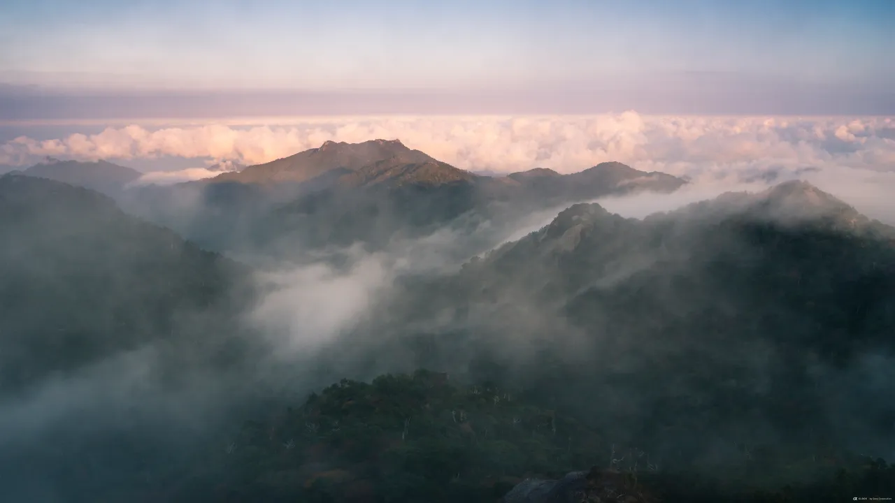 Yakushima | Sony Global - α CLOCK: world time, captured by α